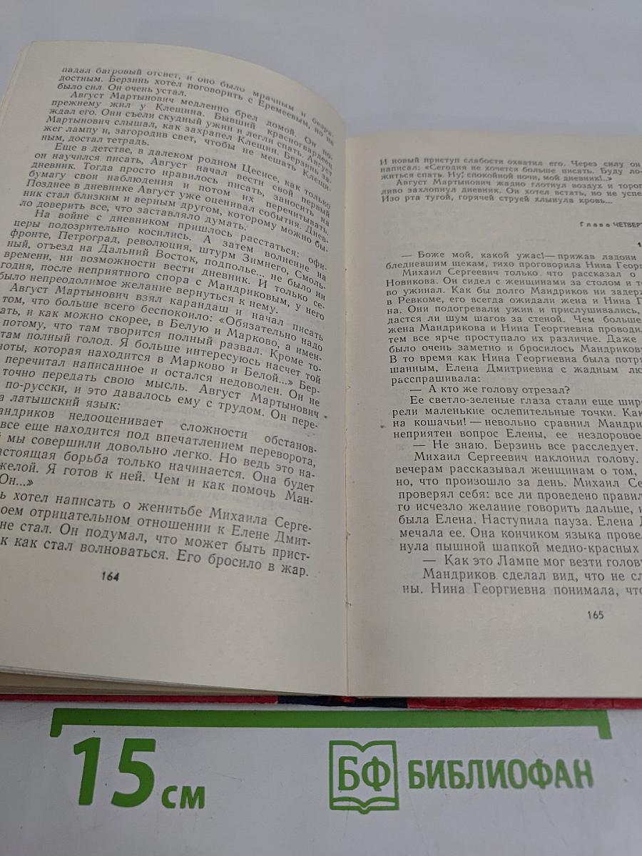 Пурга в ночи. Книга вторая