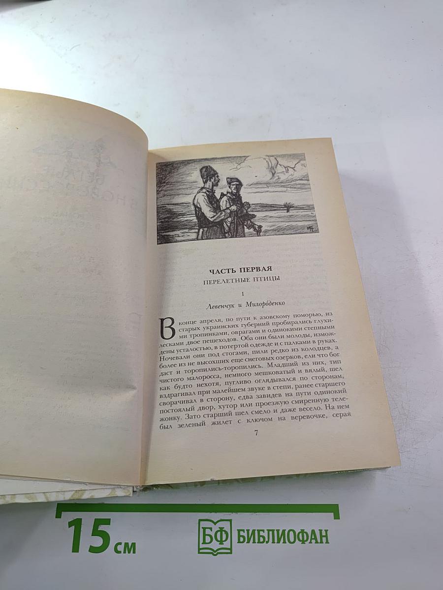 Беглые в Новороссии. Воля. Княжна Тараканова