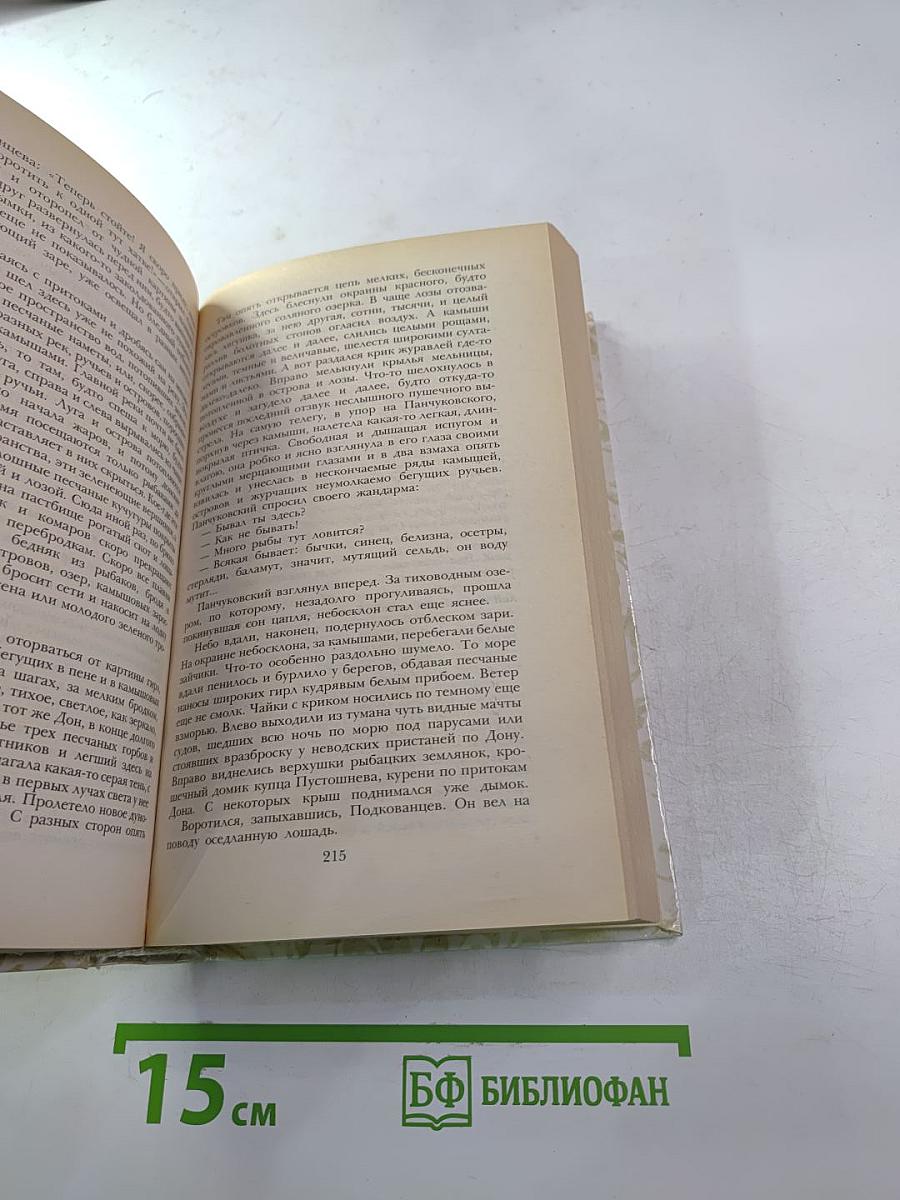 Беглые в Новороссии. Воля. Княжна Тараканова