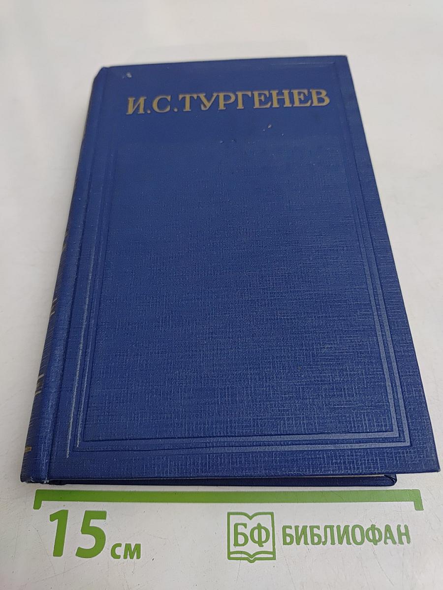 Письма. Том тринадцатый. Книга первая. 1880-1882
