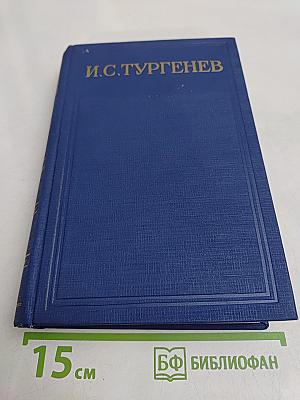 Письма. Том тринадцатый. Книга первая. 1880-1882