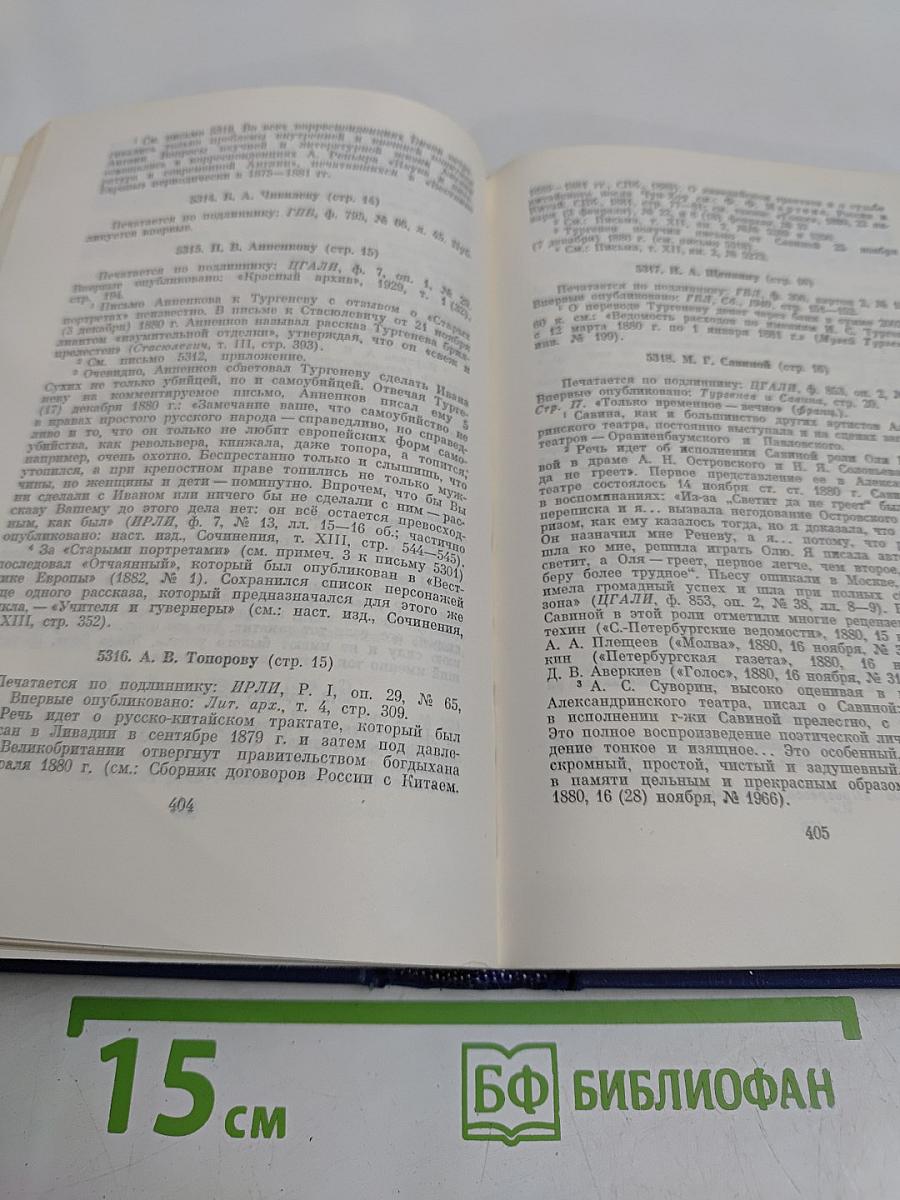 Письма. Том тринадцатый. Книга первая. 1880-1882