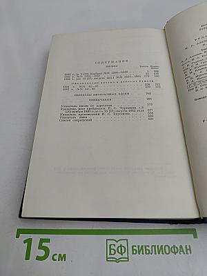 Письма. Том тринадцатый. Книга первая. 1880-1882