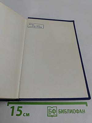 Письма. Том тринадцатый. Книга первая. 1880-1882
