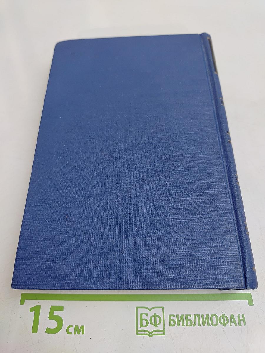 Письма. Том тринадцатый. Книга первая. 1880-1882