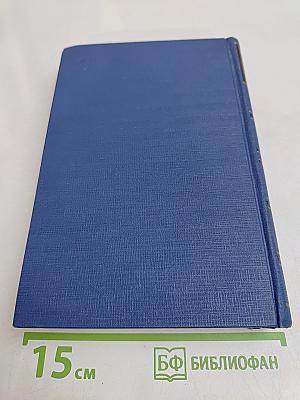 Письма. Том тринадцатый. Книга первая. 1880-1882