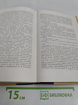Зов Амазонки