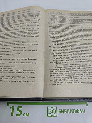 Каменный пояс. Книги 1 и 2