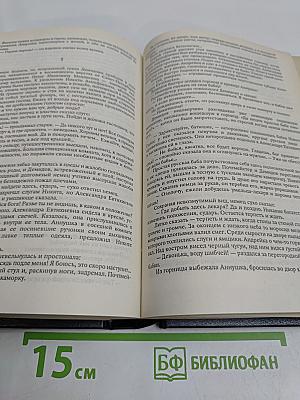 Каменный пояс. Книги 1 и 2