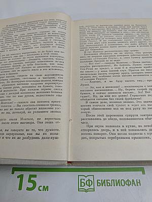Виконт де Бражелон, или Десять лет спустя. Часть 1, 2