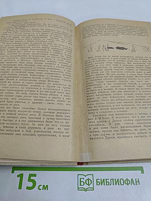 Зеленые холмы Африки