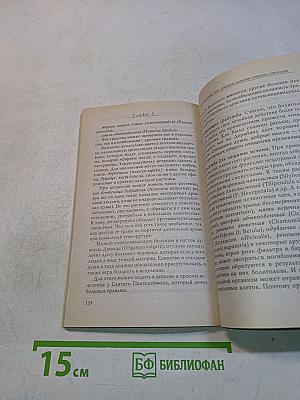 Болиголов в лечении злокачественных и доброкачественных опухолей