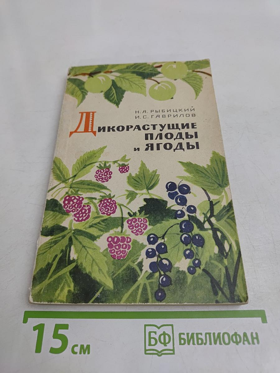 Дикорастущие плоды и ягоды