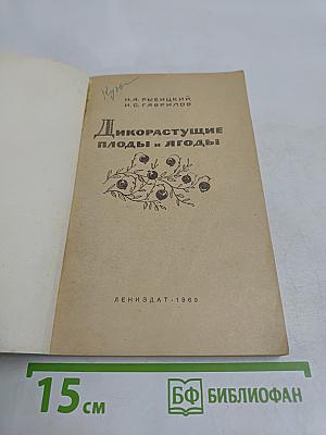 Дикорастущие плоды и ягоды