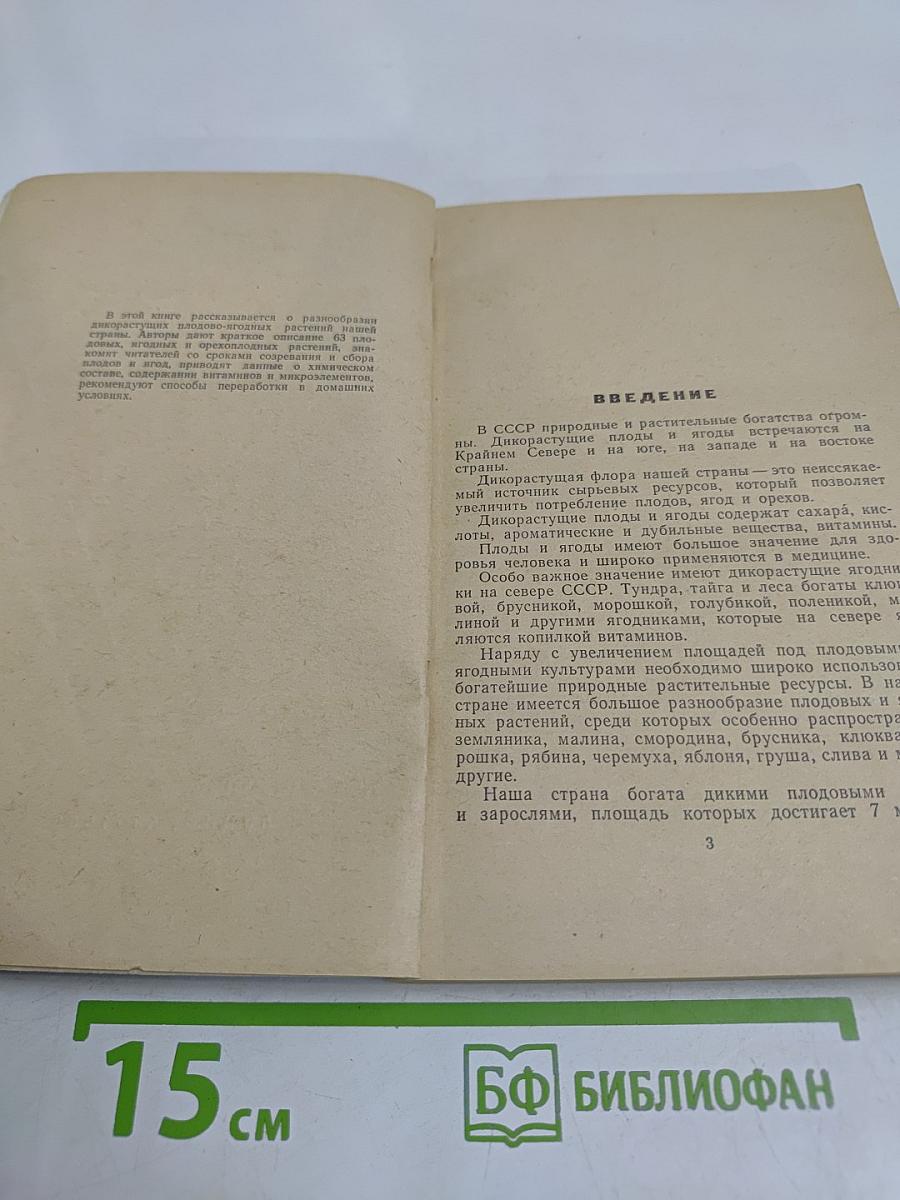 Дикорастущие плоды и ягоды