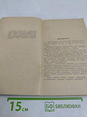 Дикорастущие плоды и ягоды