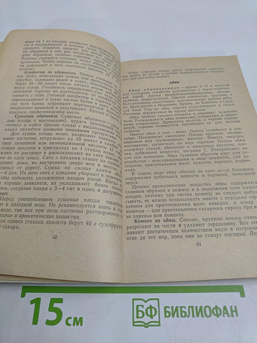 Дикорастущие плоды и ягоды