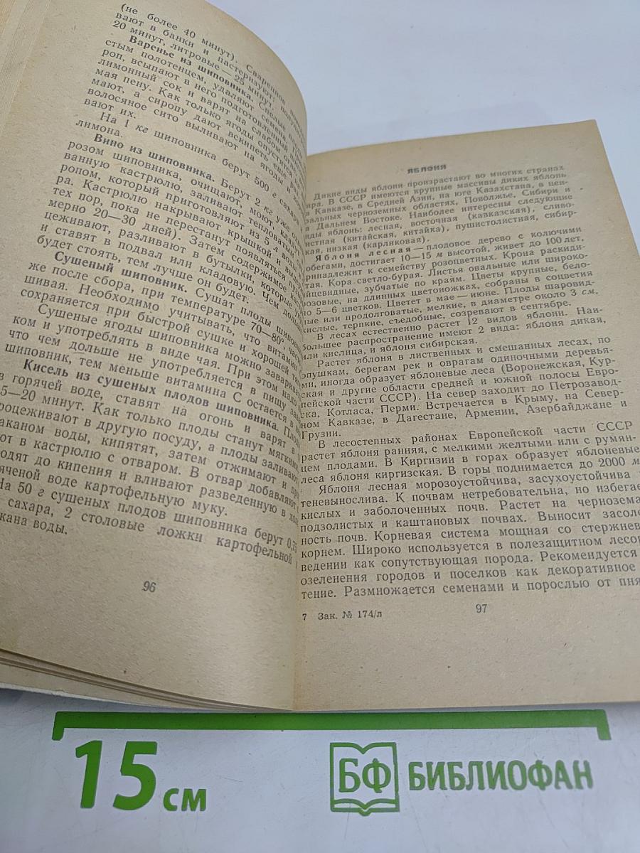 Дикорастущие плоды и ягоды