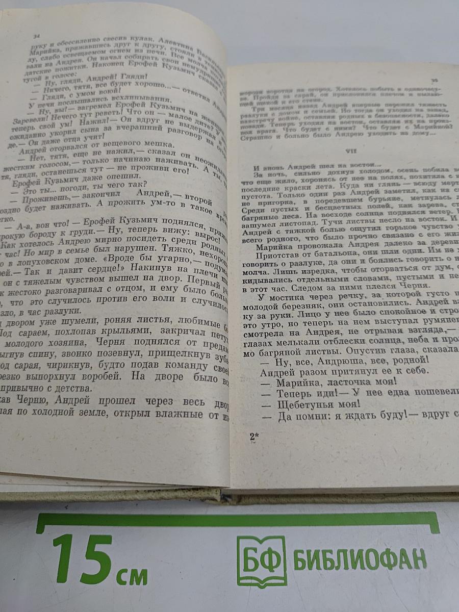 Белая береза