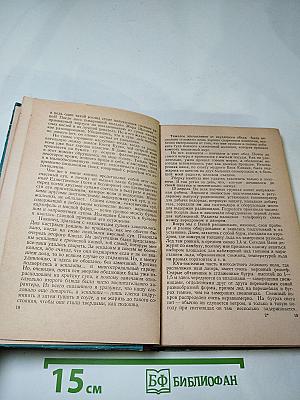 Испытание мужества