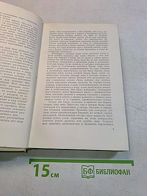 Над Неманом. Том третий