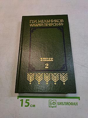 В лесах. Книга вторая