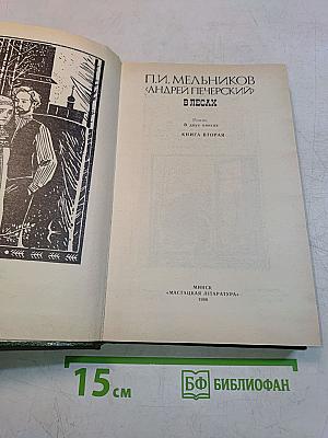 В лесах. Книга вторая
