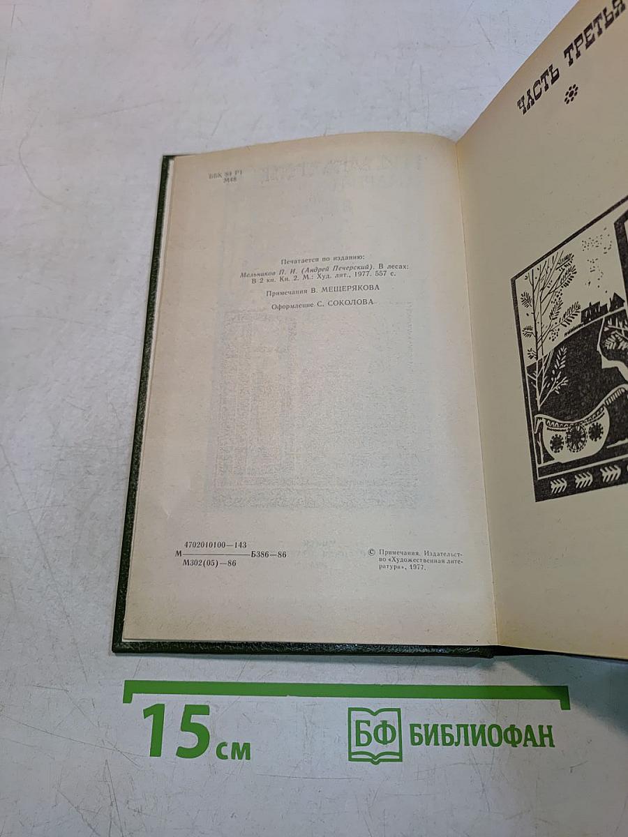 В лесах. Книга вторая