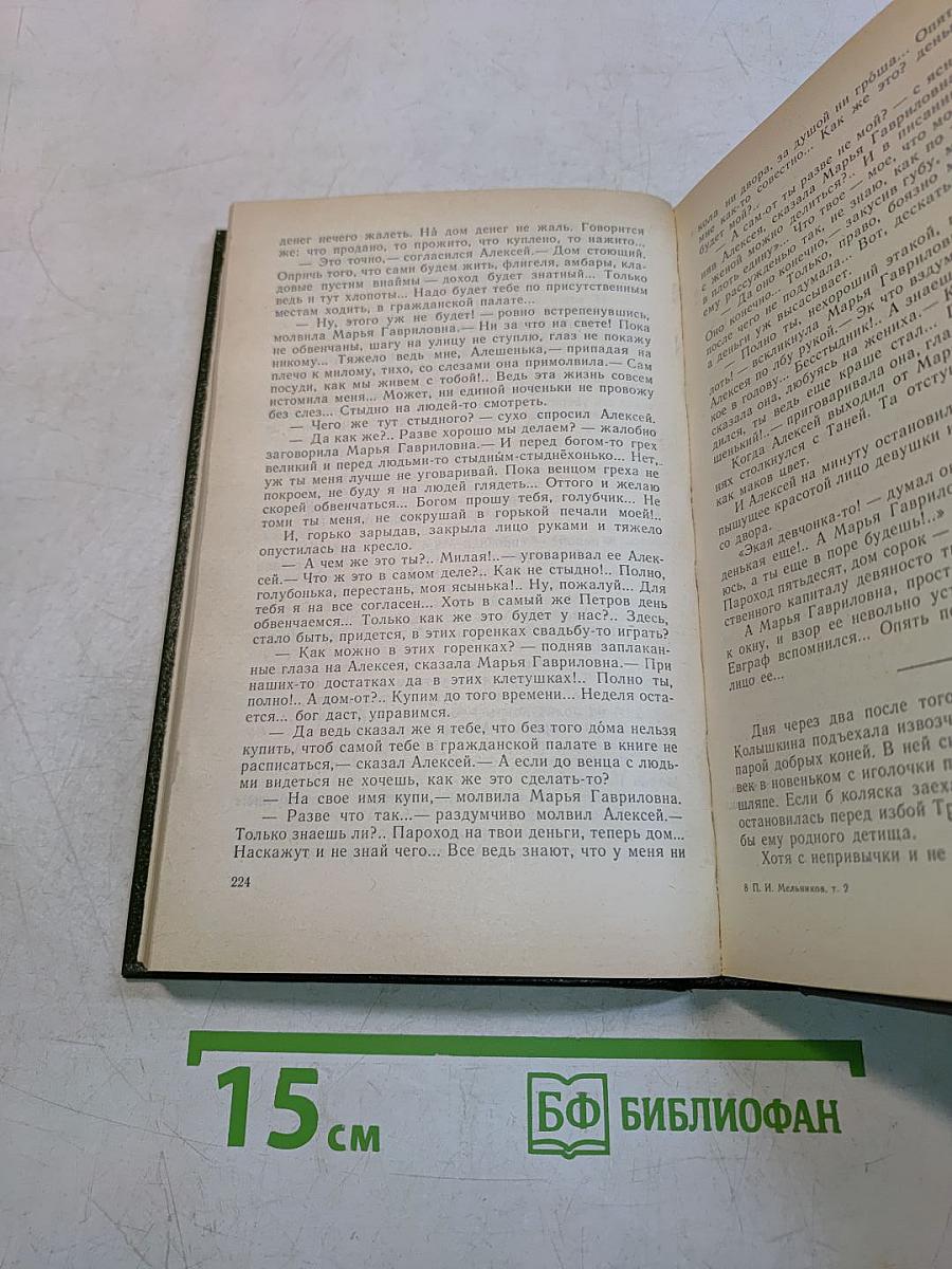 В лесах. Книга вторая