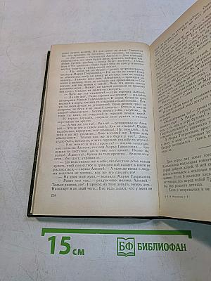 В лесах. Книга вторая