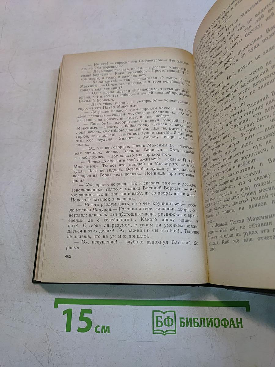 В лесах. Книга вторая