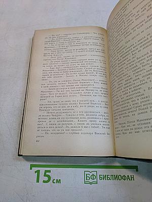 В лесах. Книга вторая