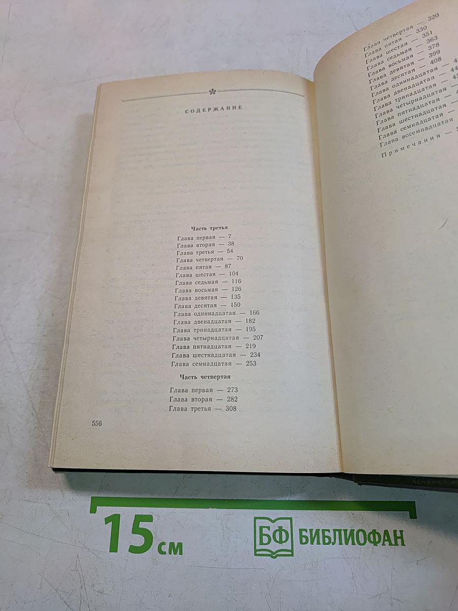 В лесах. Книга вторая