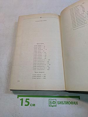 В лесах. Книга вторая