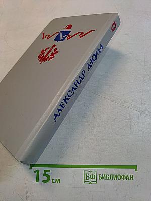 Кавалер Красного замка