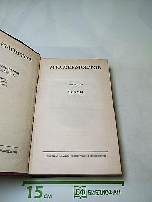 Поэмы. Том второй