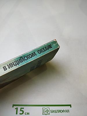 В Индийском океане: Очерки истории пиратства в Индийском океане и Южных морях (XV-XX вв.)