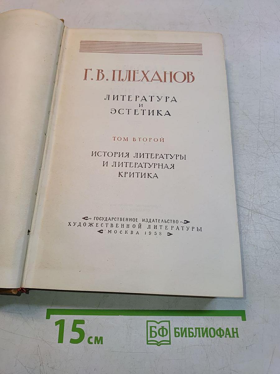 Литература и эстетика. Том второй. История литературы и литературная критика