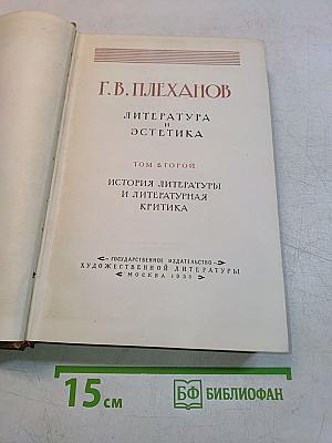 Литература и эстетика. Том второй. История литературы и литературная критика