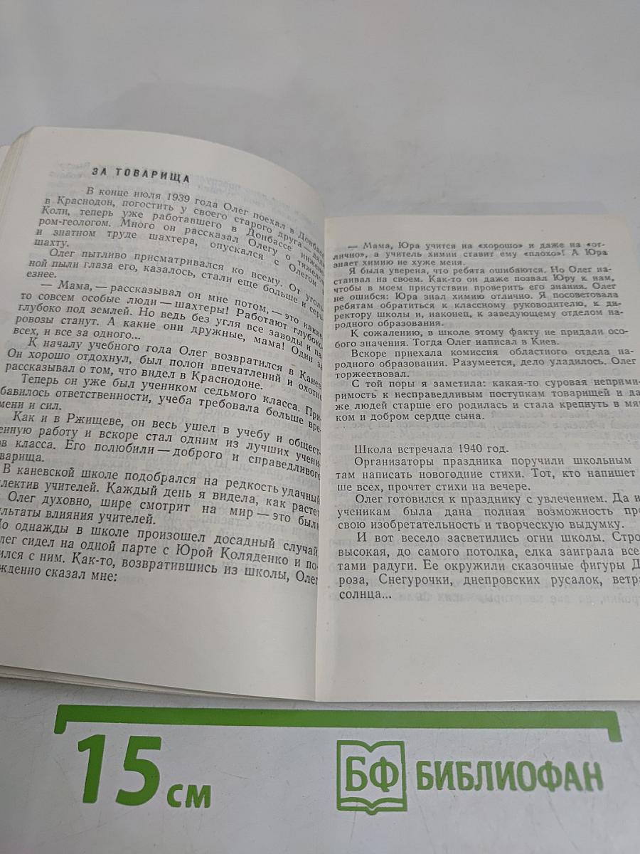 Повесть о сыне