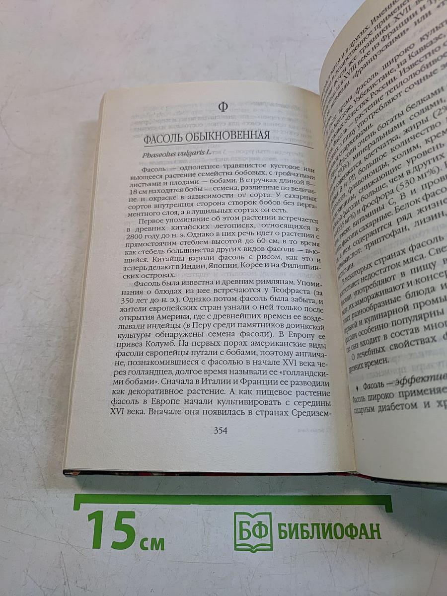 Очищение и оздоровление организма с помощью овощей