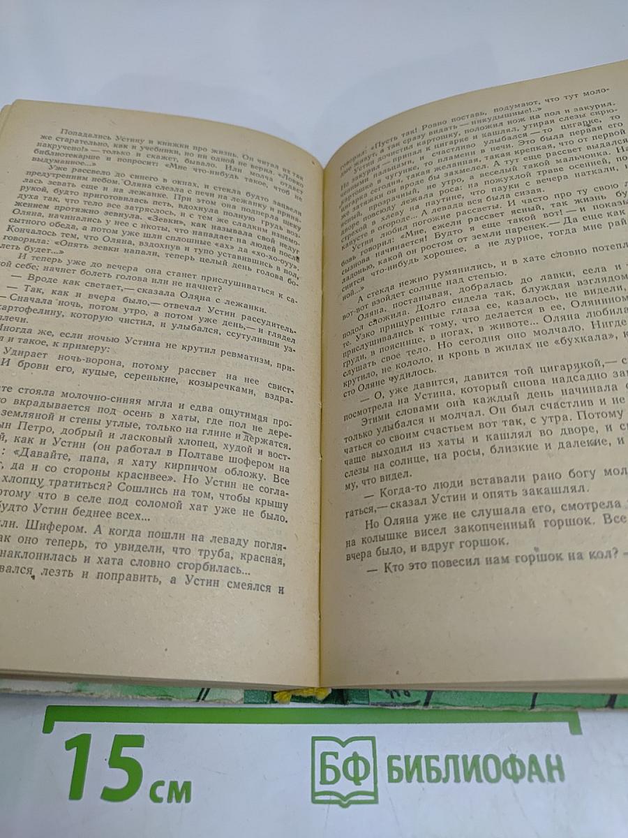 Холодная мята