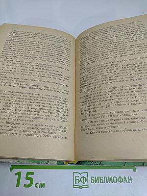 Холодная мята