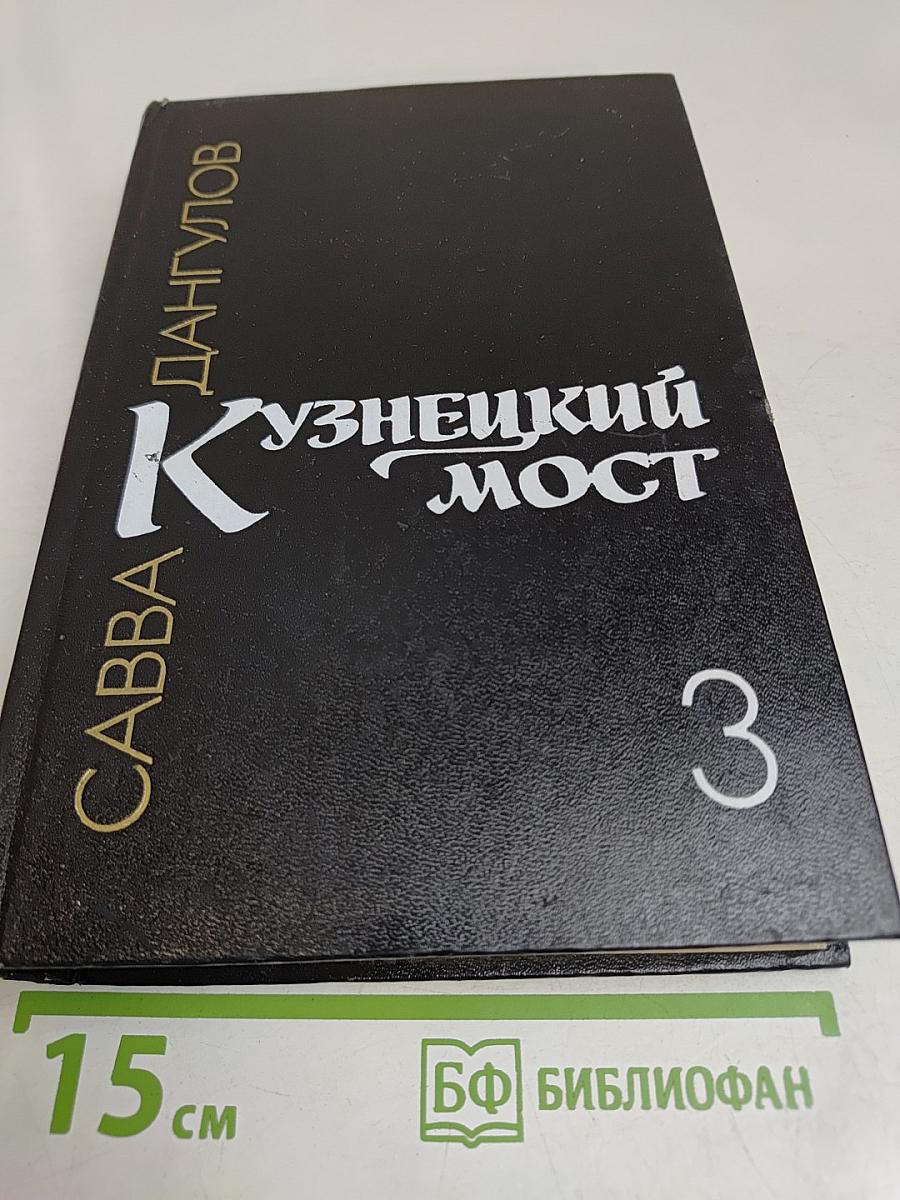 Кузнецкий мост. Книга 3