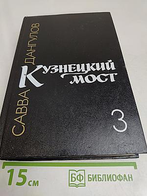Кузнецкий мост. Книга 3