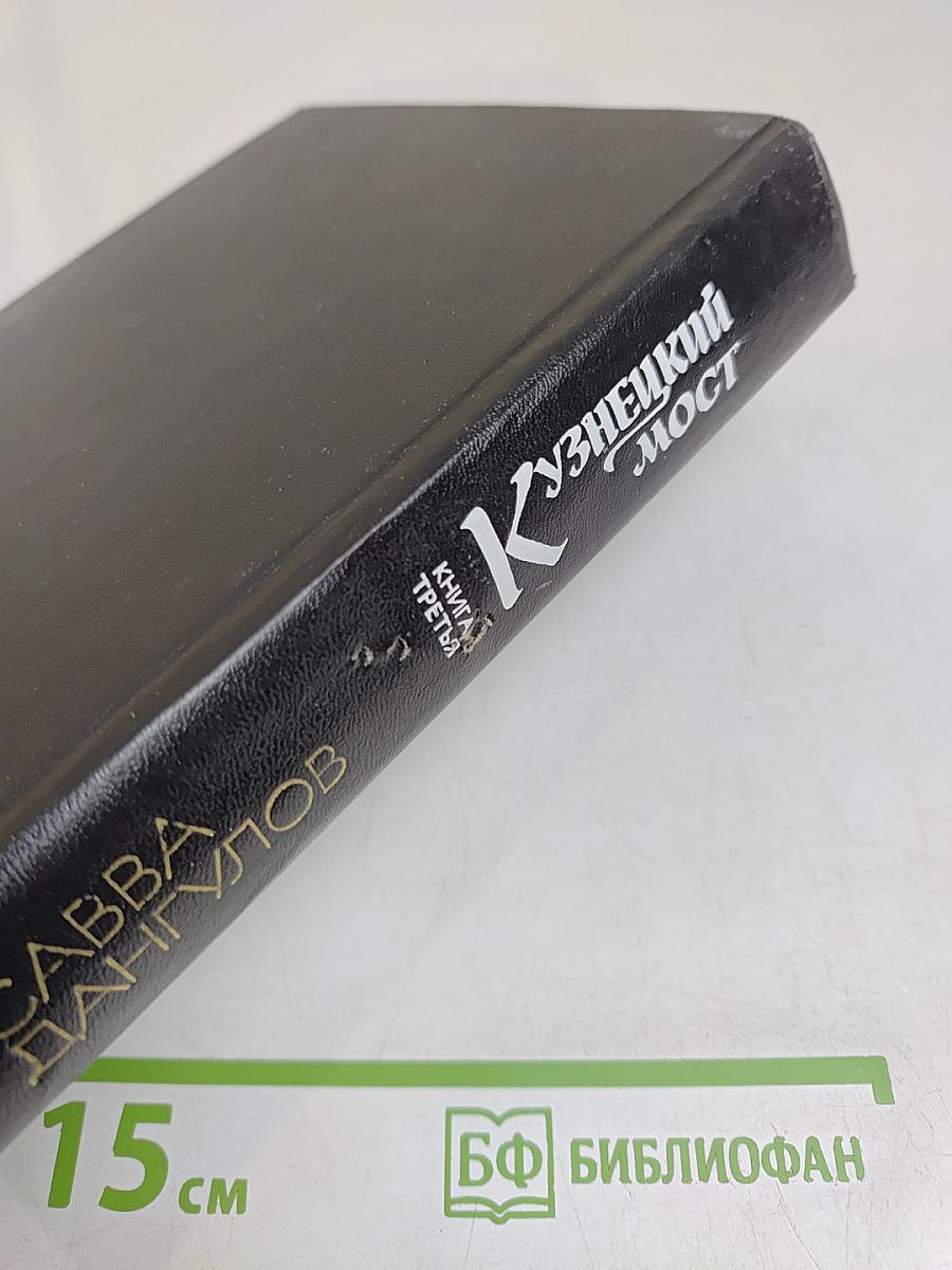 Кузнецкий мост. Книга 3