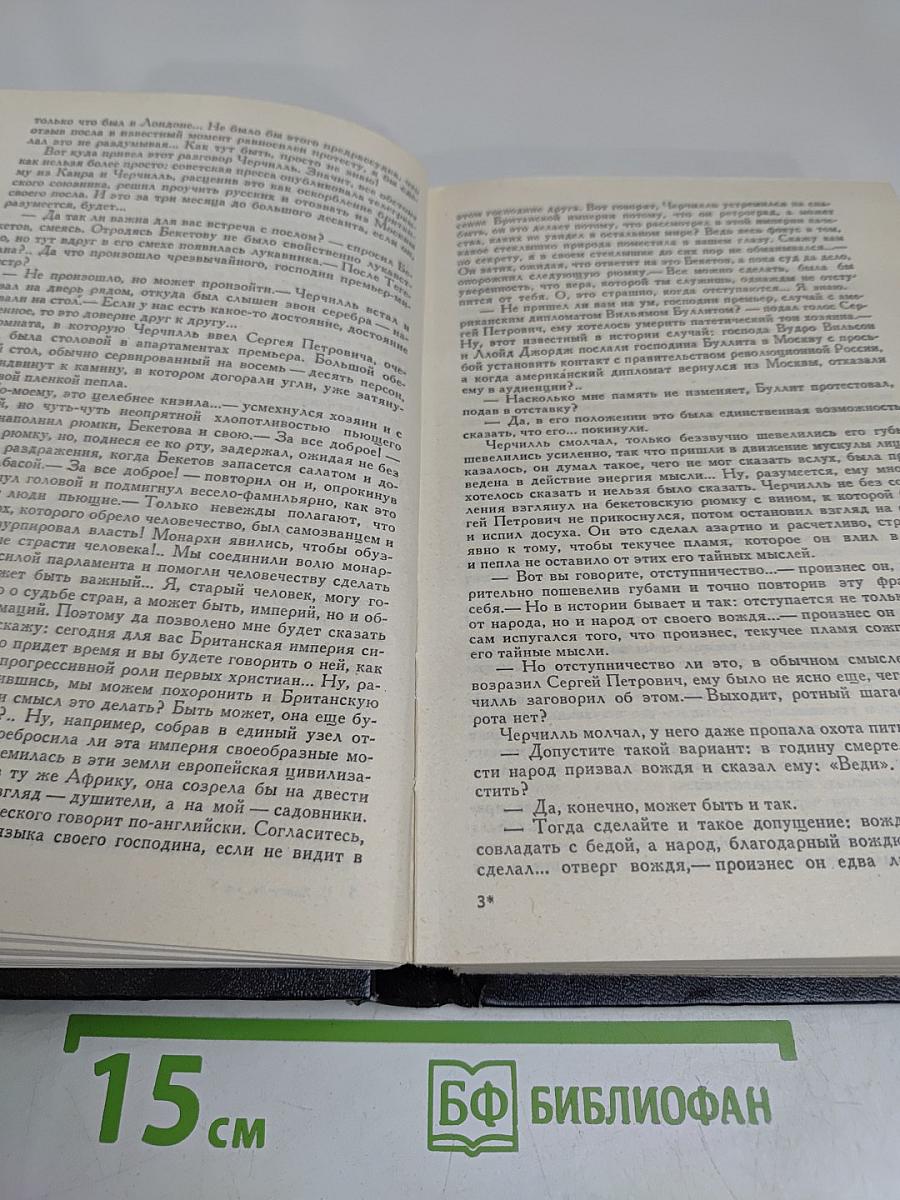 Кузнецкий мост. Книга 3