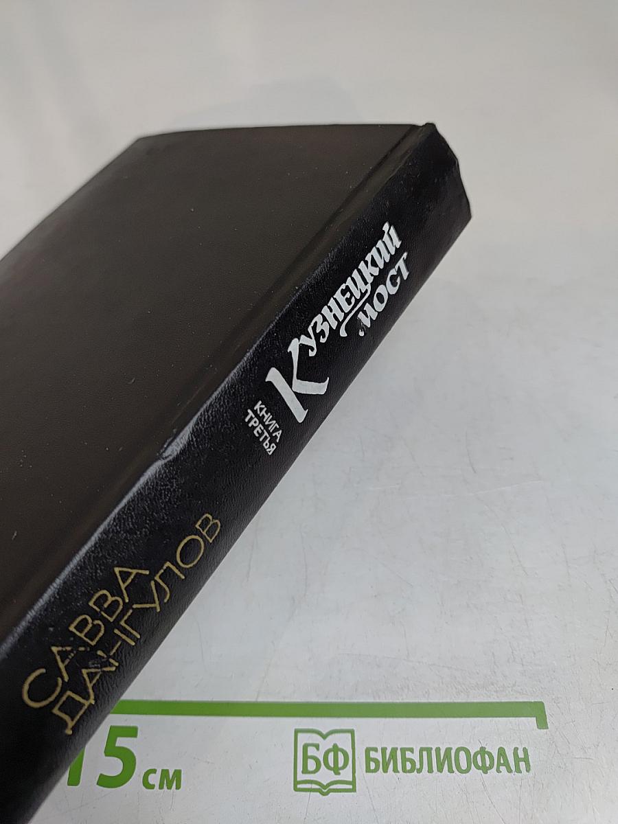 Кузнецкий мост. Книга 3
