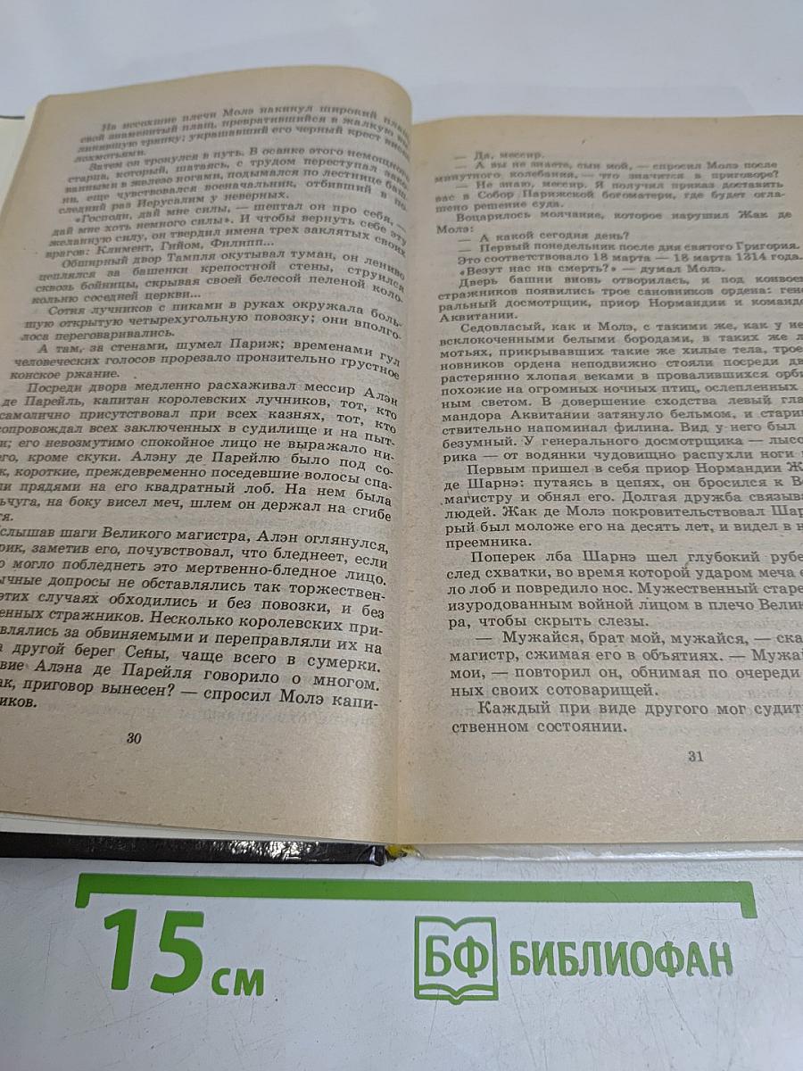 Железный король. Узница ШАТО-ГАЙАРА