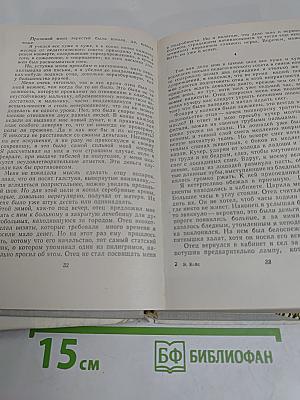 Бедный расточитель